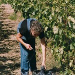 Helping with the Harvest