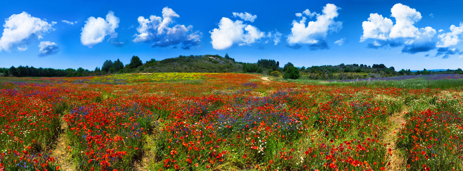 Narbonne, Languedoc-Roussillon